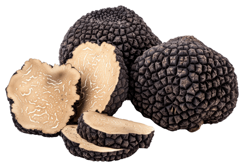 Trüf Mantarı